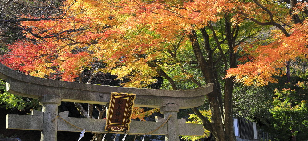 東生駒南自治会